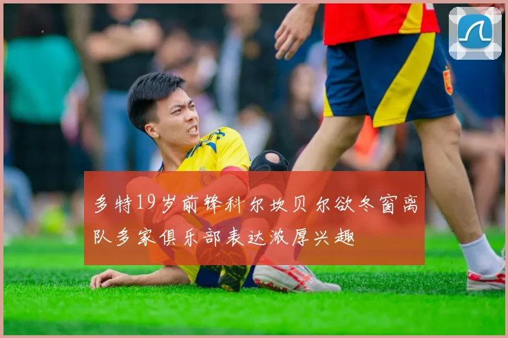 多特19岁前锋科尔坎贝尔欲冬窗离队多家俱乐部表达浓厚兴趣
