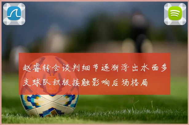 维斯塔潘蒙扎排位小失误红牛正赛策略需灵活应对挑战